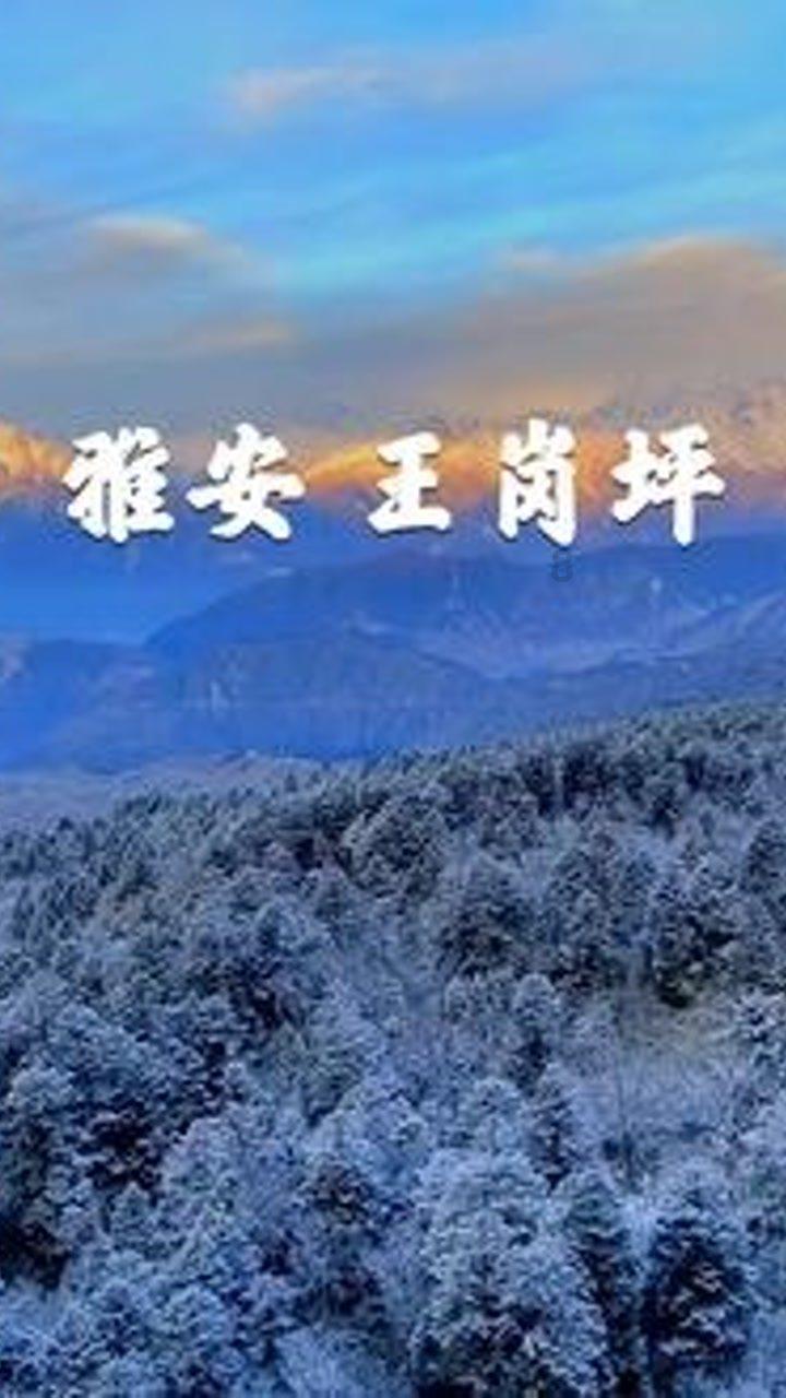 超能战区